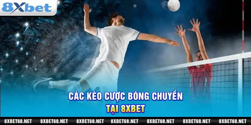 Các kèo cược bóng chuyền tại 8xbet