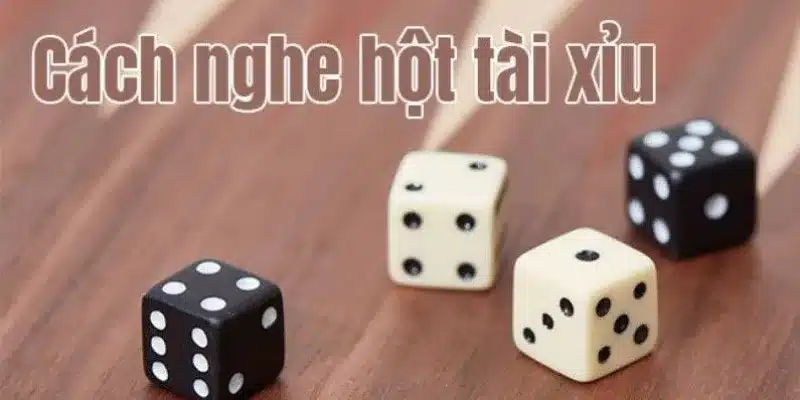 Tìm hiểu kỹ thuật nghe hột tài xỉu cơ bản